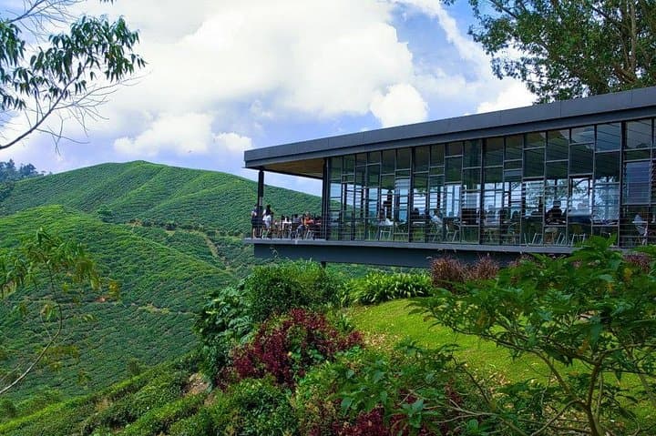 Cameron Highlands Day Tour: Tea Plantations, Hobbitoon & Strawberry Farms photo 2