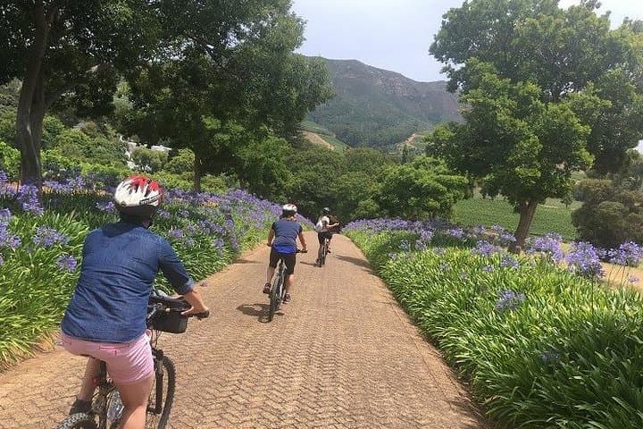 Constantia Hidden Gem Cycle: Full-Day Private Wine & Bike Tour