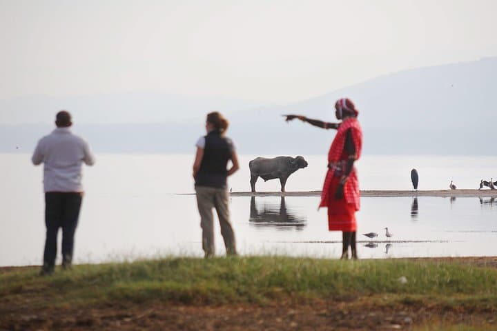 Lake Nakuru Two-Day Flamingo & Rhino Safari — Game Drives, Bush Breakfasts & Out of Africa Views