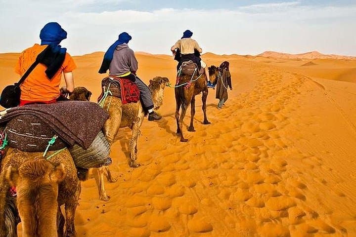 Desert Dinner Experience in Ras Al Khaimah: Bedouin Camp, Camel Rides & Cultural Show photo 2