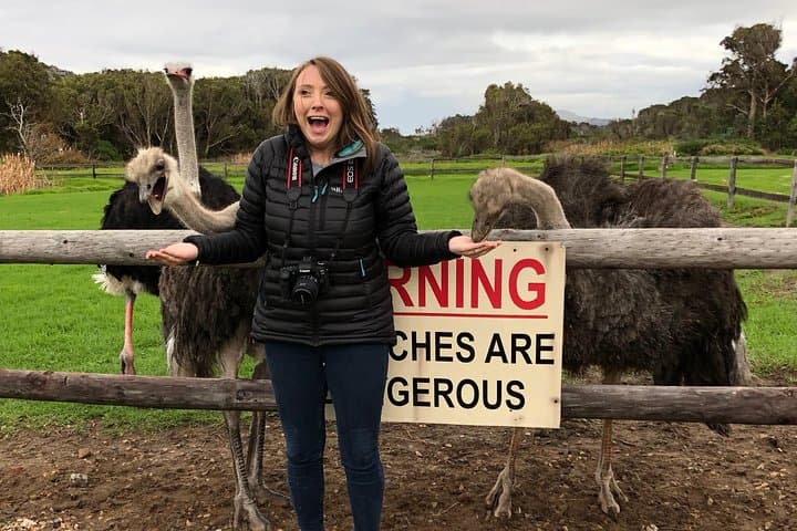 Cape Peninsula Day Tour: Cape Point, Boulders Penguins & Constantia Wine Tasting photo 4