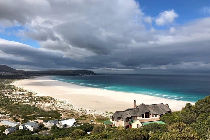 Cape Peninsula Day Tour: Cape Point, Boulders Penguins & Constantia Wine Tasting photo 3