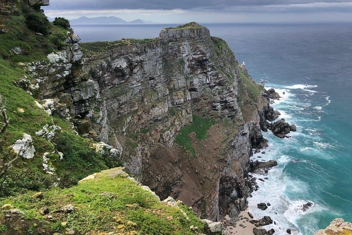 Cape Peninsula Day Tour: Cape Point, Boulders Penguins & Constantia Wine Tasting