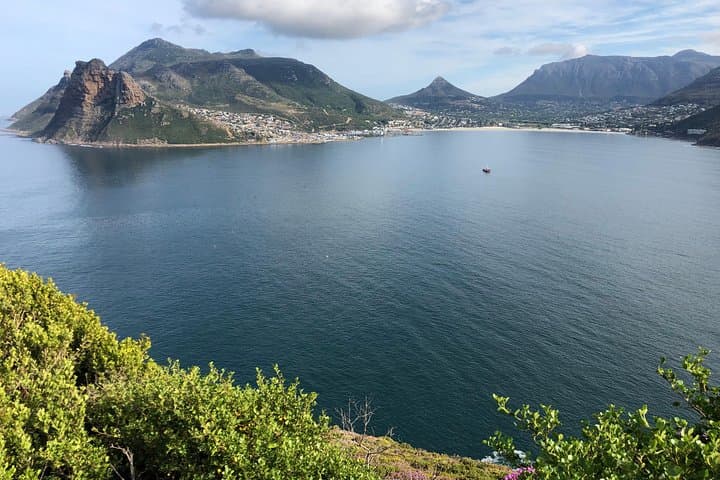 Cape Peninsula Day Tour: Cape Point, Boulders Penguins & Constantia Wine Tasting photo 2