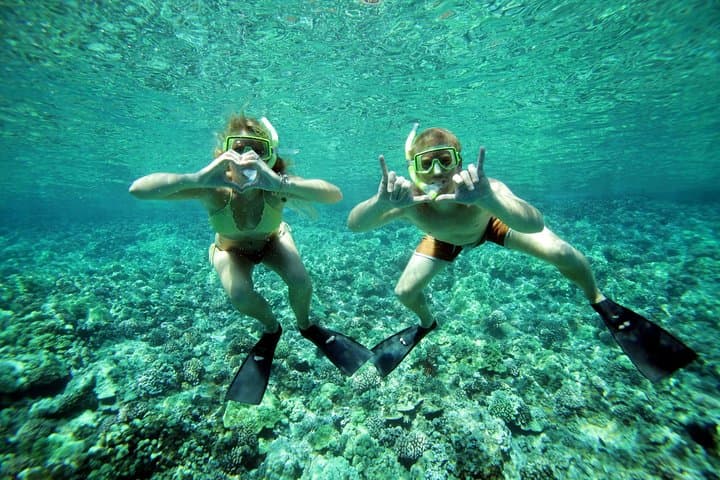 Molokini Performance Sail & Snorkel from Māʻalaea Harbor — Top Maui Snorkeling photo 5