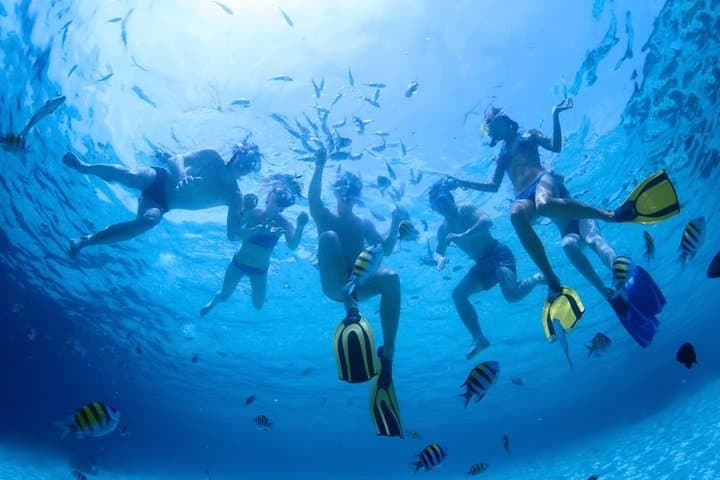 Kaanapali Mala Xpress Snorkel: 2.5-Hour Turtle and Coral Cruise photo 4