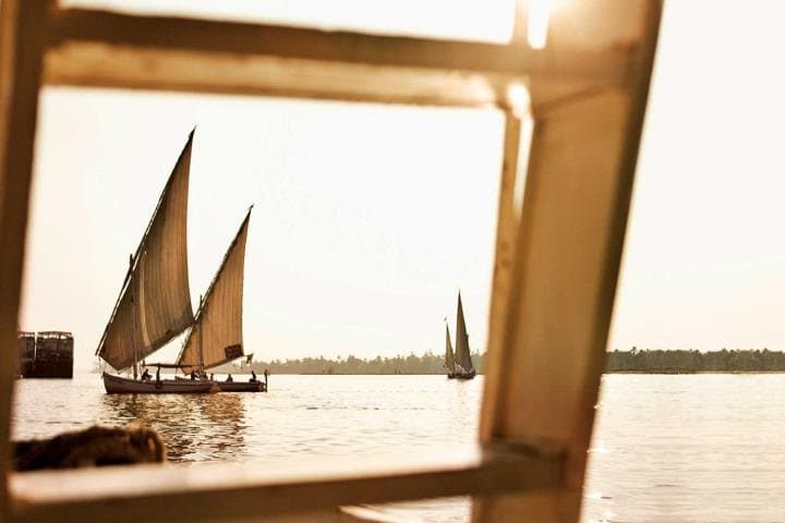 Sunset Felucca Ride on the Nile in Cairo: Evening Sail & City Views photo 3