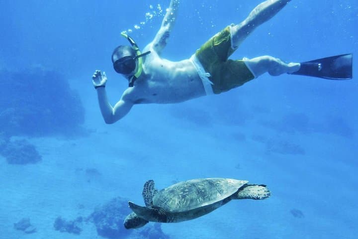 Kaanapali Mala Xpress Snorkel: 2.5-Hour Turtle and Coral Cruise photo 3