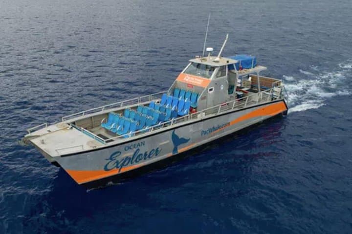 Molokini & Turtle Adventure: Small-group Snorkel from Ma'alaea Harbor photo 4