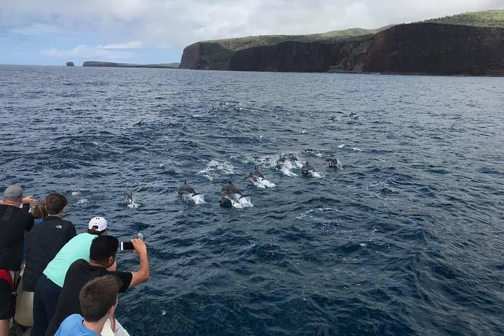 Lanai Snorkel and Dolphin Watch: Explore Maui’s Premier Marine Playground photo 4