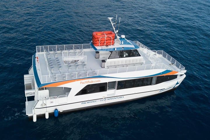 Lanai Snorkel and Dolphin Watch: Explore Maui’s Premier Marine Playground photo 5