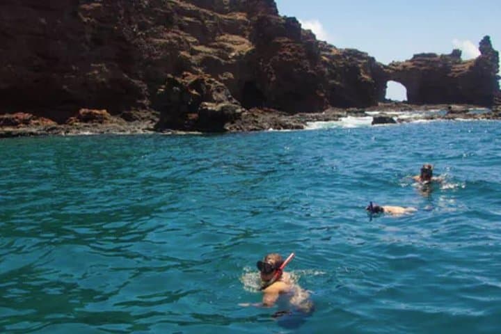 Lanai Snorkel and Dolphin Watch: Explore Maui’s Premier Marine Playground photo 6