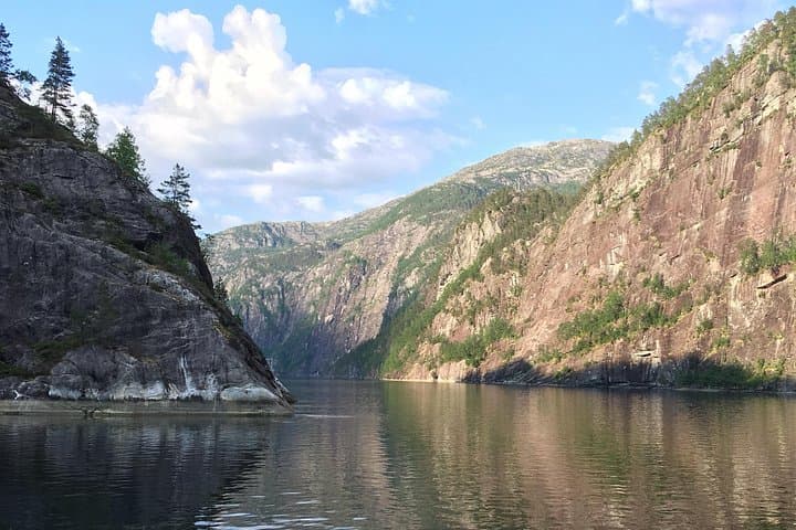 Secrets of the Fjords: Osterfjord and Mo Guided Tour from Bergen photo 4