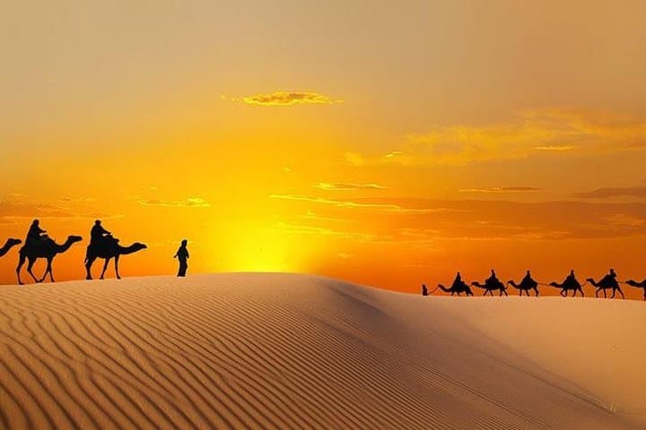 Morning Desert Safari in Abu Dhabi: Dune Bashing, Camel Rides & Sandboarding photo 3