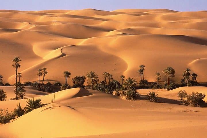 Overnight Empty Quarter Camping from Salalah — Rub al Khali & the Lost City photo 6