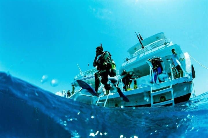 Red Sea Scuba Diving from Marsa Alam — 2-Stop Boat Trip with Lunch photo 4