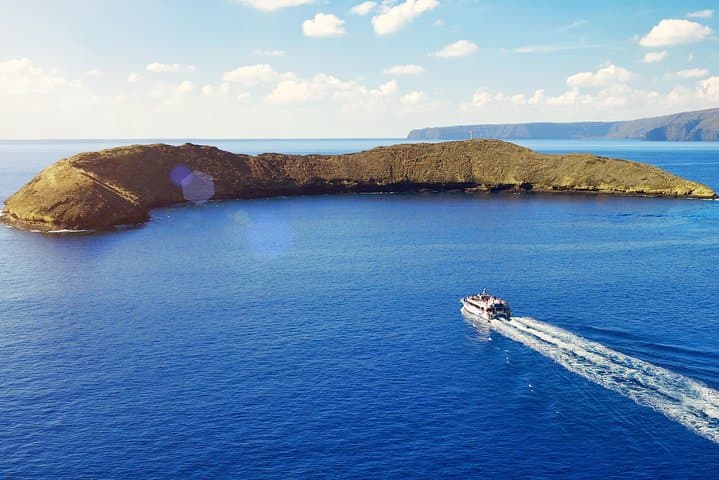 Molokini and Turtle Town Snorkel Adventure from Maalaea Harbor photo 2