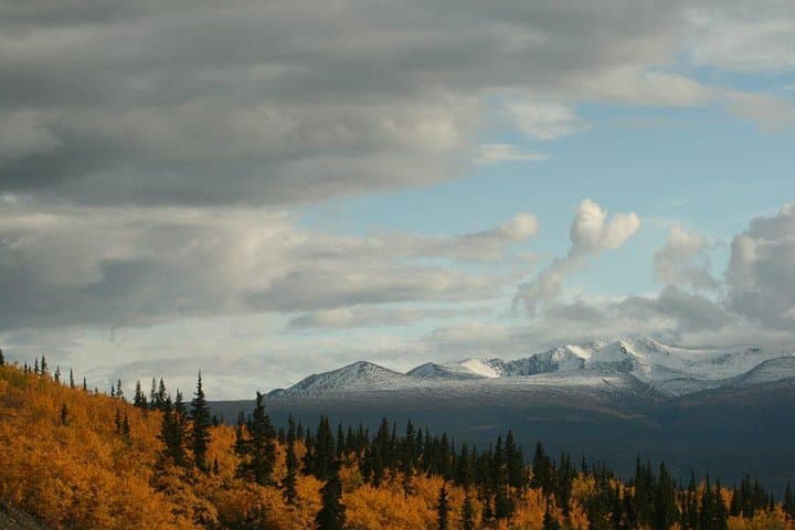 DIY Yukon Jeep Tour from Skagway: White Pass, Carcross & Emerald Lake photo 4