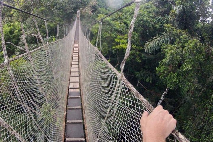2-Day All-Inclusive Jungle Adventure from Iquitos to Maniti Eco-Lodge photo 3