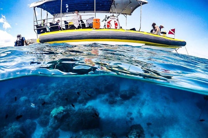 Lanai Snorkel & Dolphin Encounter: 4-Hour Small-Group Adventure from West Maui photo 6
