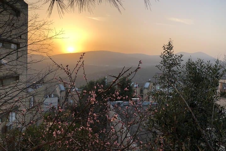 Safed Walking Tour: Explore Tzfat’s Kabbalist Synagogues & Artist Quarter photo 3
