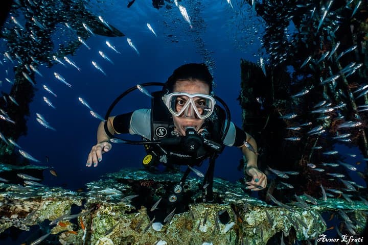 Introductory Scuba Dive at Eilat Coral Reefs — 40-Min Trial with Instructor photo 5