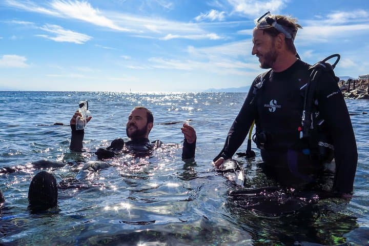 Eilat Refresh Dive for Certified Divers — Nearshore Red Sea Reacclimation photo 2