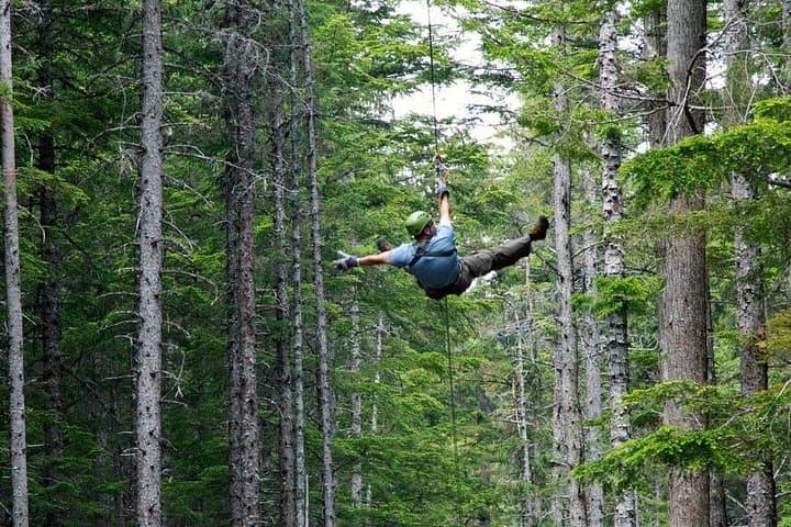 Skagway Grizzly Falls Ziplining Expedition: Fly Over Waterfalls in the Tongass photo 4