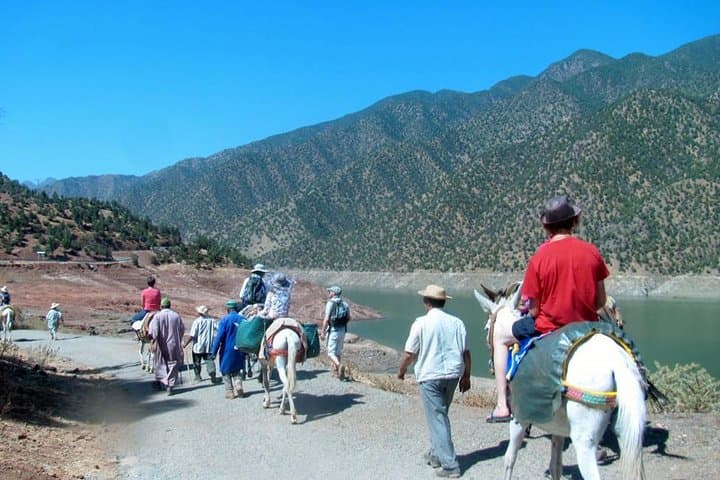 Ouirgane Mule Trek: Day Hike through Berber Villages & Olive Terraces photo 5
