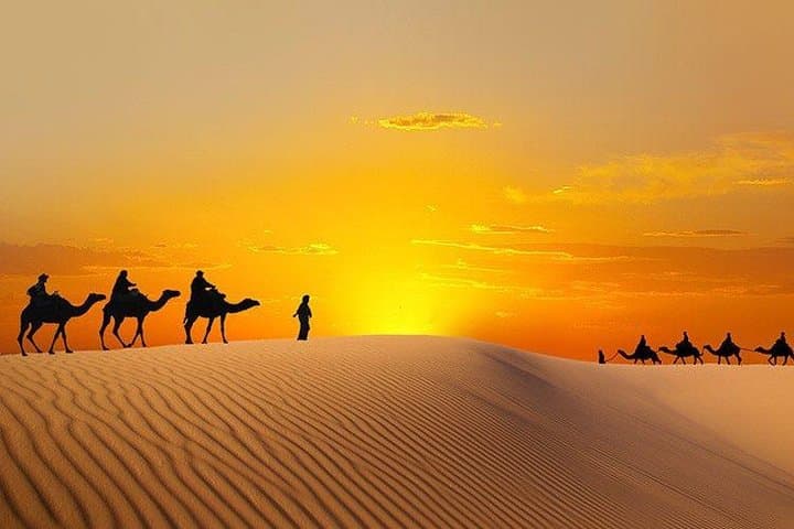 Royal VIP Dubai Desert Safari: VIP Majlis, Dune Bashing & BBQ Dinner photo 3