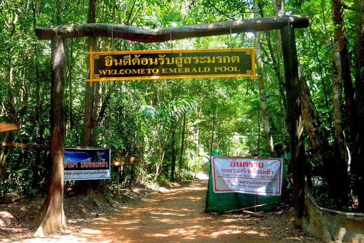 Emerald Pool & Krabi Hot Springs: Half-Day Jungle Tour photo 2