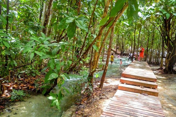 Emerald Pool & Krabi Hot Springs: Half-Day Jungle Tour photo 3