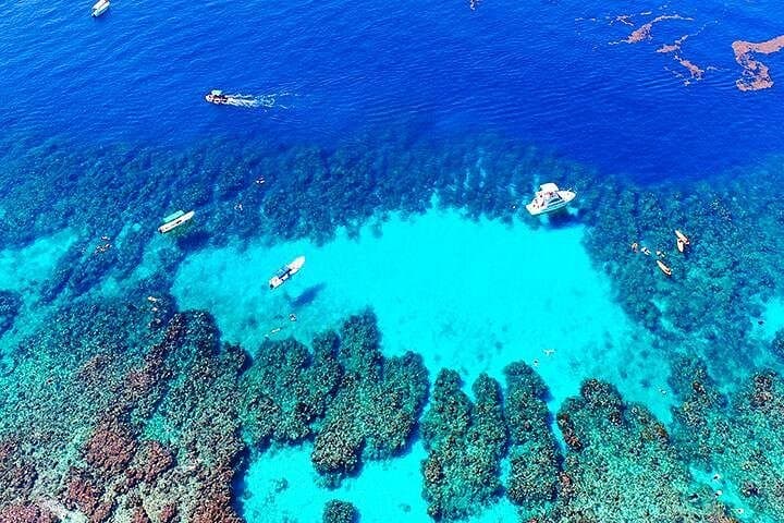 Snorkel West Bay's Natural Aquarium — Chocolate, Rum & Roatán City Tour photo 2