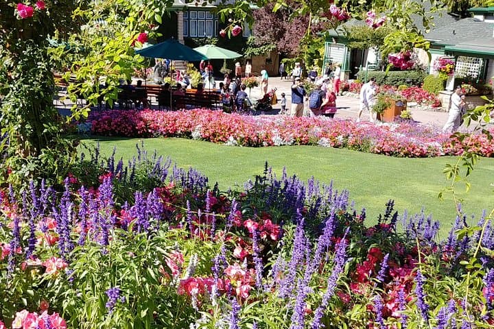 Four Days Through Vancouver, Victoria & Whistler — Private Coastal-to-Alpine Tour photo 4