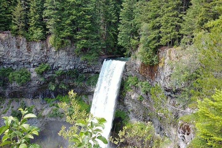 Four Days Through Vancouver, Victoria & Whistler — Private Coastal-to-Alpine Tour photo 6