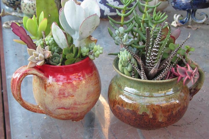 2-Hour Pottery Workshop & Studio Tour in Ojai — Hands-On Clay Class photo 3
