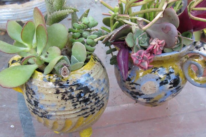 2-Hour Pottery Workshop & Studio Tour in Ojai — Hands-On Clay Class photo 5