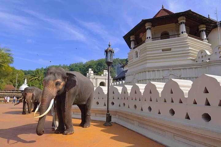 4-Day Cultural Circuit: Kandy, Sigiriya, Trincomalee & Anuradhapura from Negombo photo 4