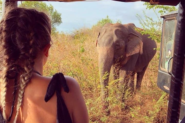 4-Day Kandy, Nuwara Eliya, Ella & Udawalawe Safari from Negombo: Hill Country, Tea Trails & Guaranteed Elephants photo 5