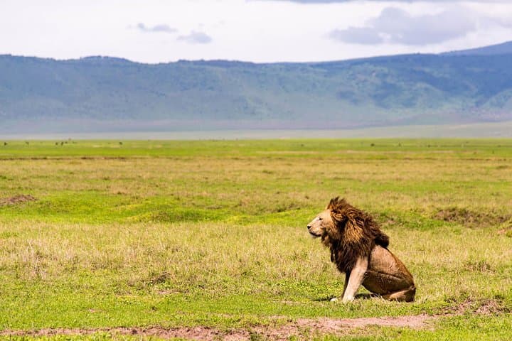 Amboseli National Park Day Safari: Kilimanjaro Views & Giant Elephants photo 2