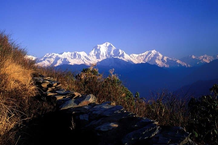 Poon Hill Short Trek — 4-Day Annapurna View Trek from Pokhara photo 5