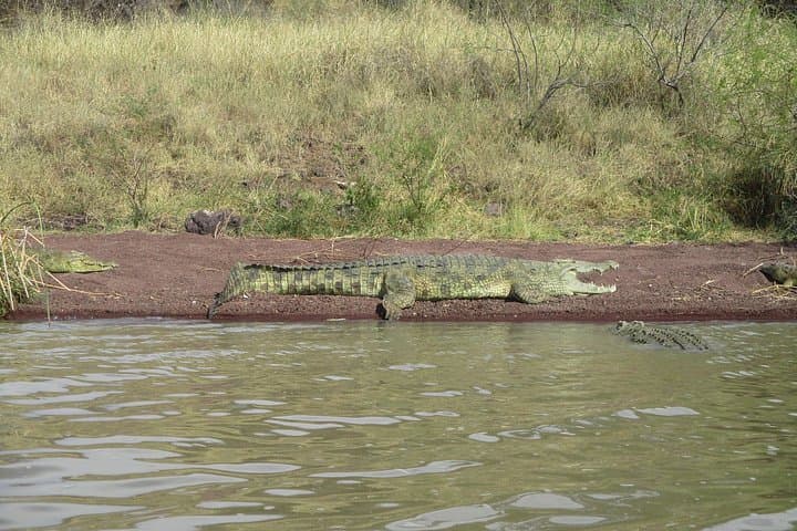 2-Day Awash National Park Wildlife & Rift Valley Tour from Addis Ababa