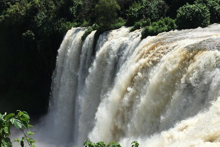 2-Day Awash National Park Wildlife & Rift Valley Tour from Addis Ababa photo 2