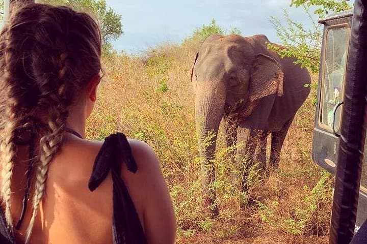 2-Day Udawalawe and Yala Safari from Negombo — Elephant & Leopard Game Drives photo 4