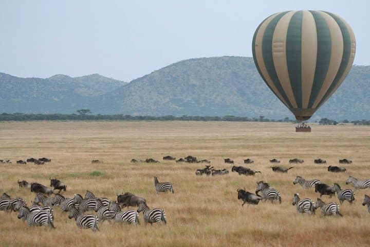 5-Day Best of Kenya Safari: Maasai Mara, Nakuru & Naivasha Wildlife Expedition photo 2