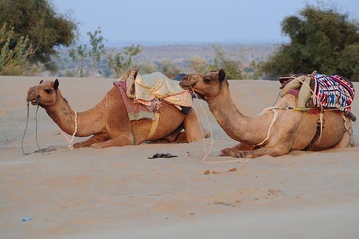 Golden Triangle Tour: 5-Day Private Tour of Delhi, Agra, Jaipur & Pushkar photo 3
