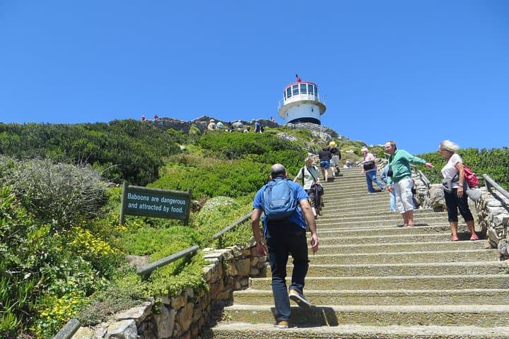 Best of the Cape: Cape Point & Winelands Full-Day Tour from Cape Town photo 2