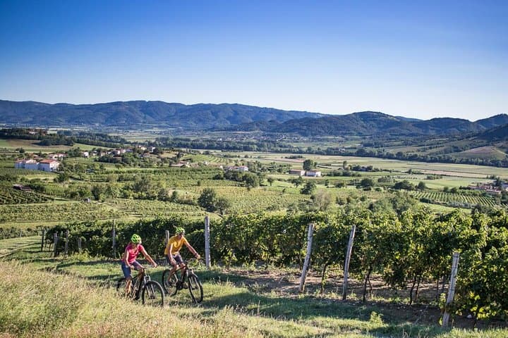 Secret Vineyards E‑Bike Tour in Vipava Valley — Medieval Villages & Roman Wine