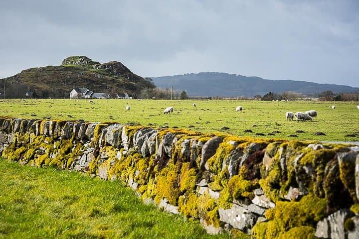 celtic-experience-kilmartin-glen-day-tour-from-glasgow photo 3