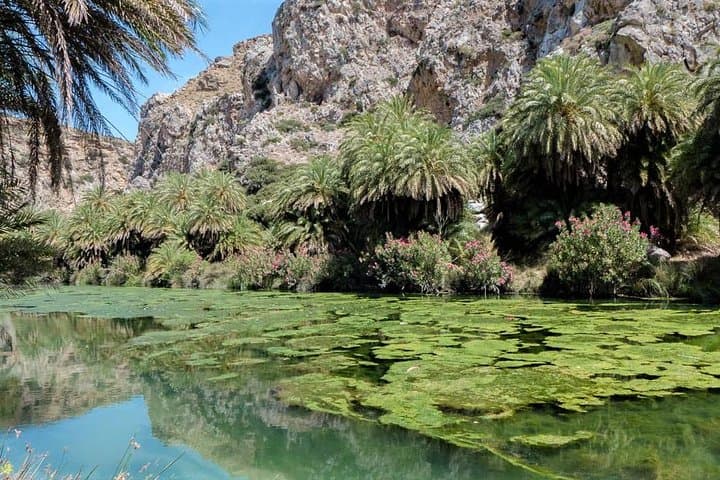 Private Rethymno Day Tour: Spili, Preveli, Kourtaliotiko Gorge & Old Town photo 5